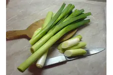 Pırasa Yemekleri ve Faydaları Nelerdir?